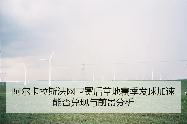 a-er-ka-la-si-fa-wang-wei-mian-hou-cao-di-sai-ji-fa-qiu-jia-su-neng-fou-dui-xian-yu-qian-jing-fen-xi-2-993.jpg