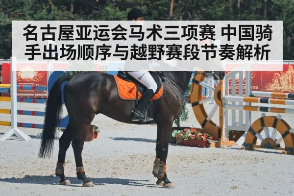 horse dressage competition arena