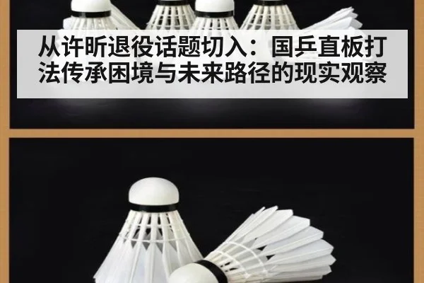 从许昕退役话题切入：国乒直板打法传承困境与未来路径的现实观察